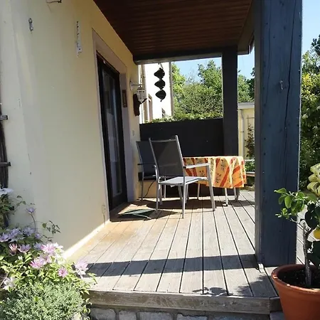 Angelika Zimmermann * デッテルバッハ